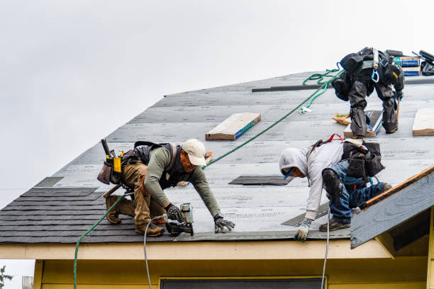 Professional Gutter Installation technician working in Irondale, MO